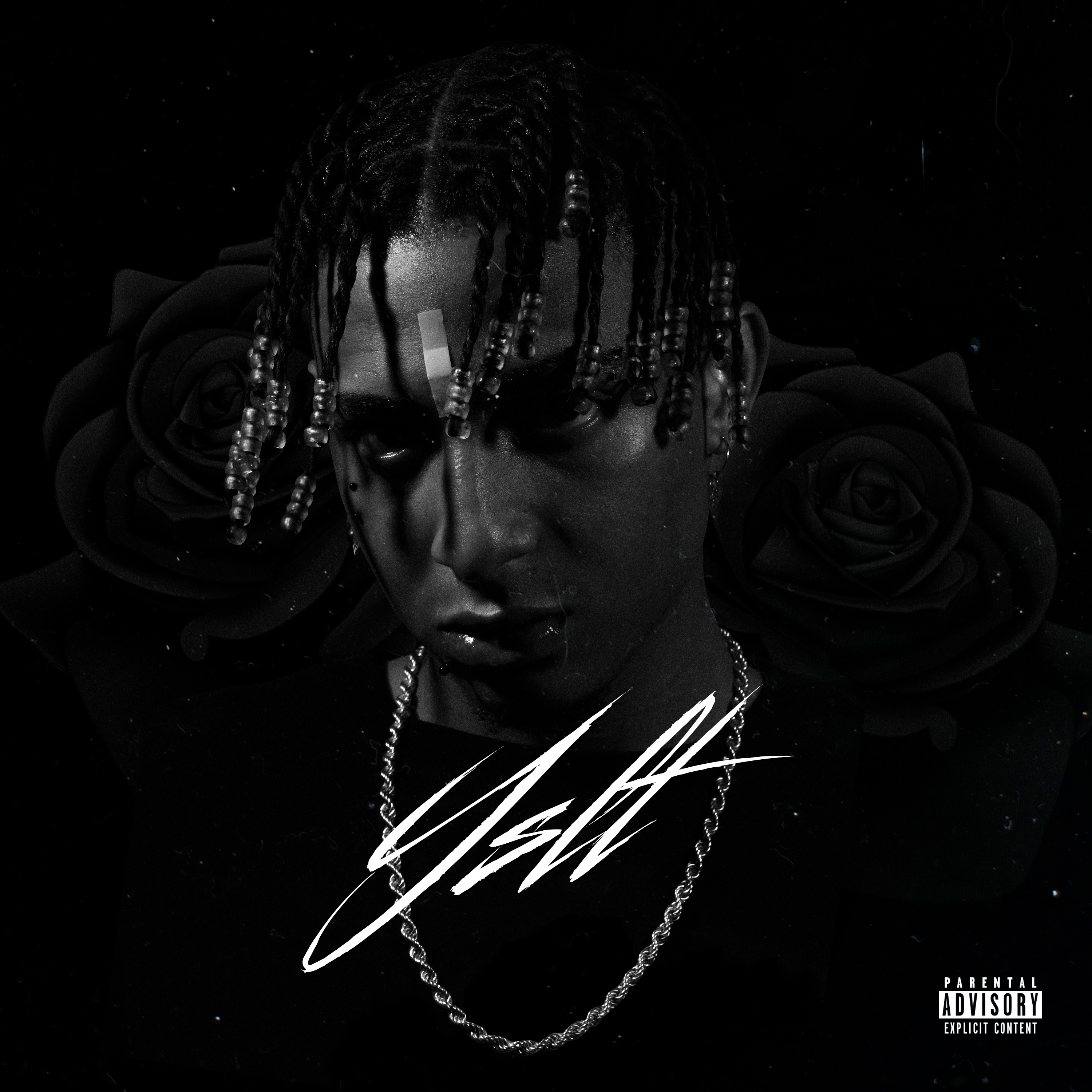 Descripción de la imagen